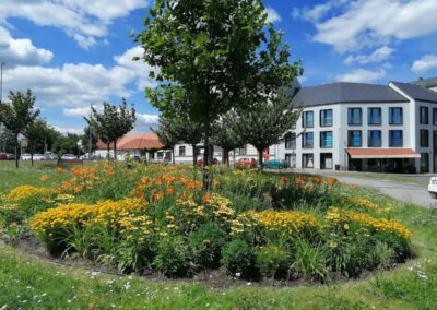 Zahradnictví Cheznovice - prodej, projekce, realizace a údržba zeleně